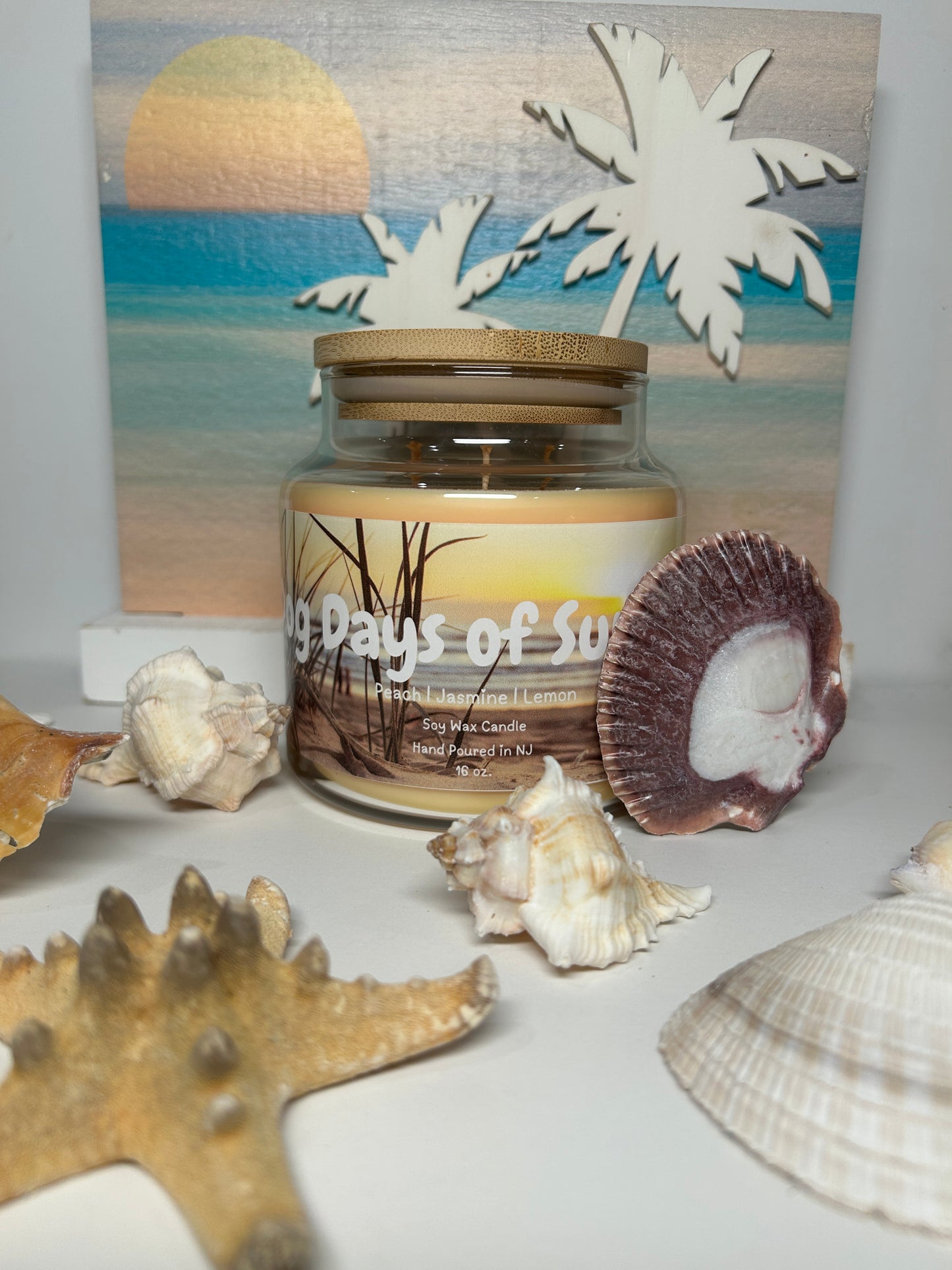 Dogs Days of Summer 16oz Soy Wax Candle