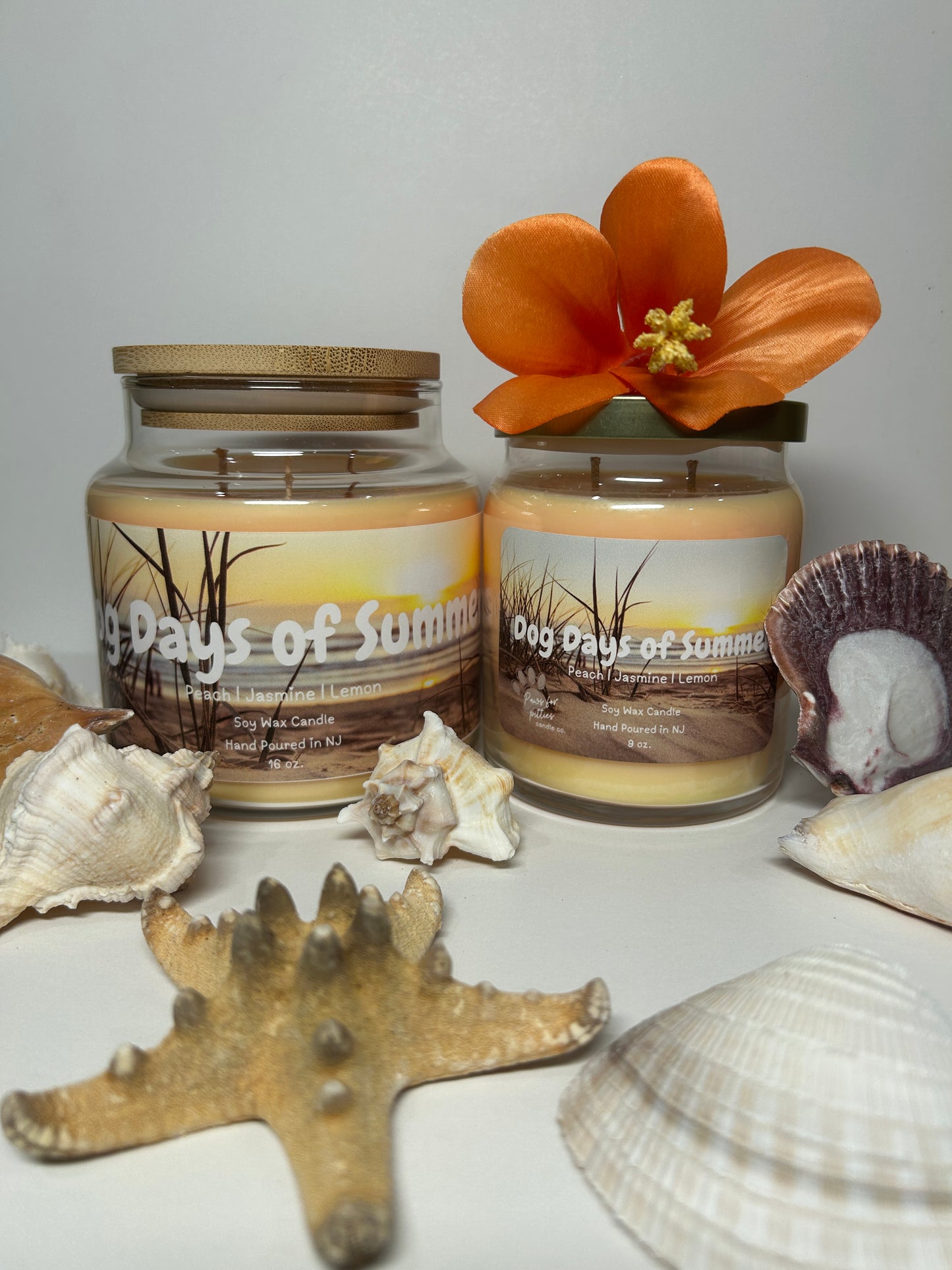 Dogs Days of Summer 9oz Soy Wax Candle
