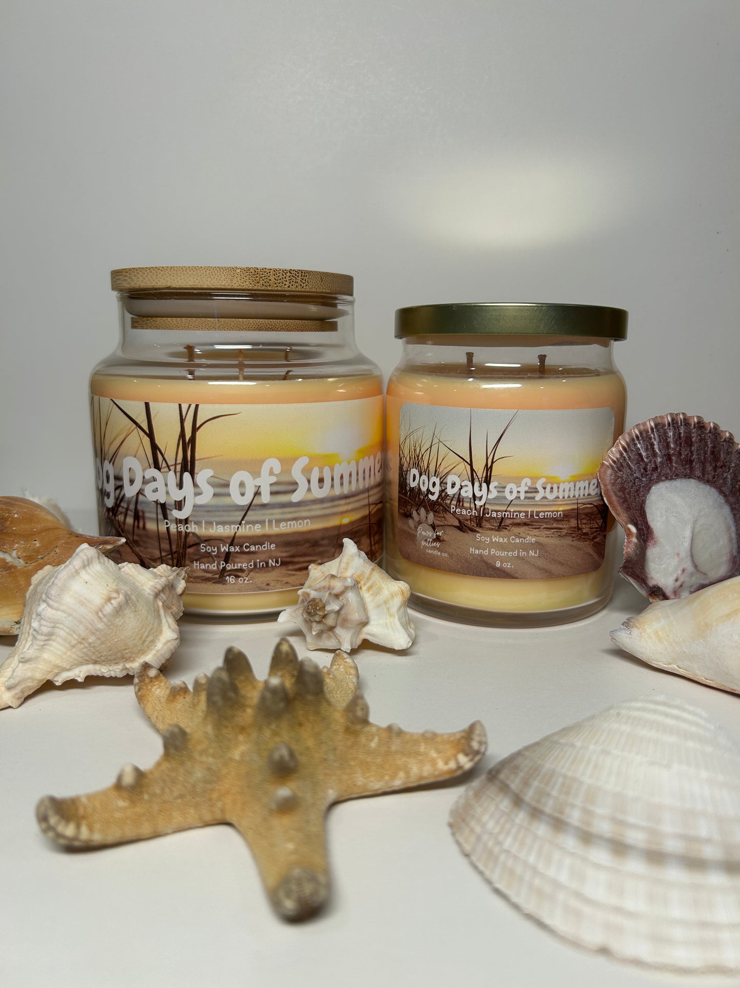 Dogs Days of Summer 9oz Soy Wax Candle