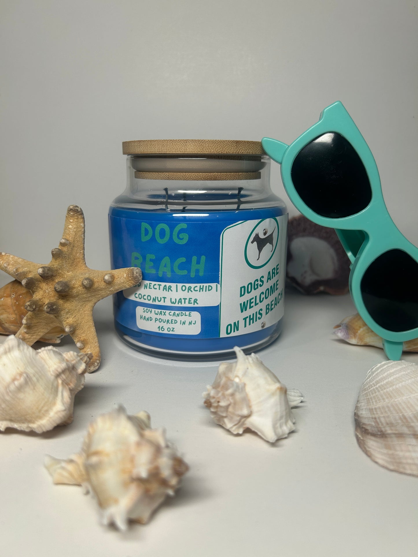 Dog Beach 16oz Soy Wax Candle