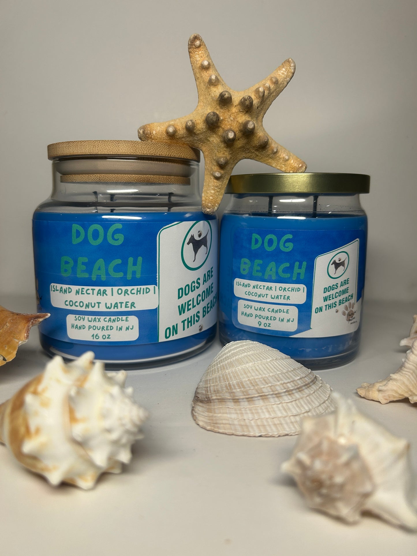 Dog Beach 9oz Soy Wax Candle