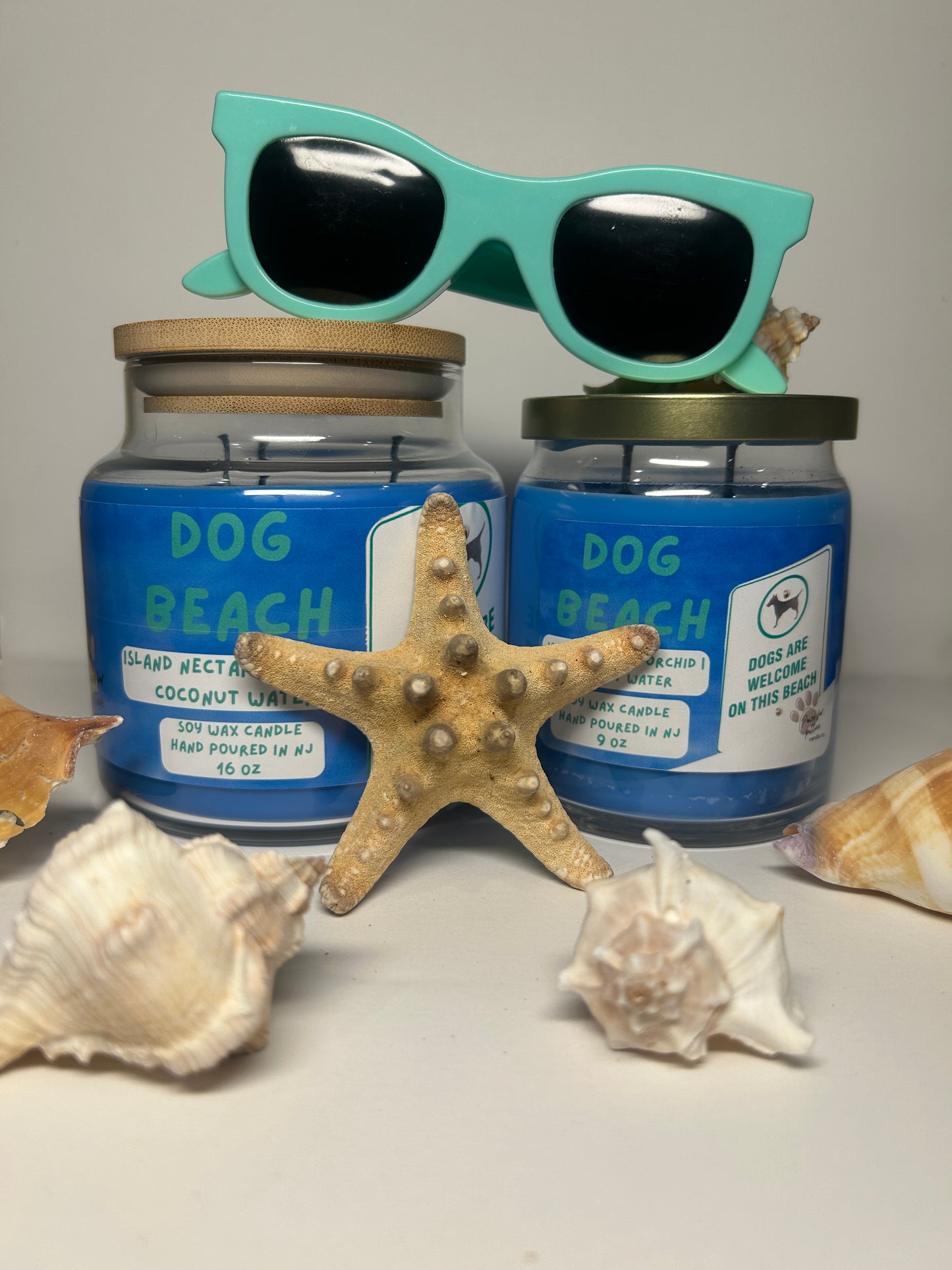 Dog Beach 9oz Soy Wax Candle
