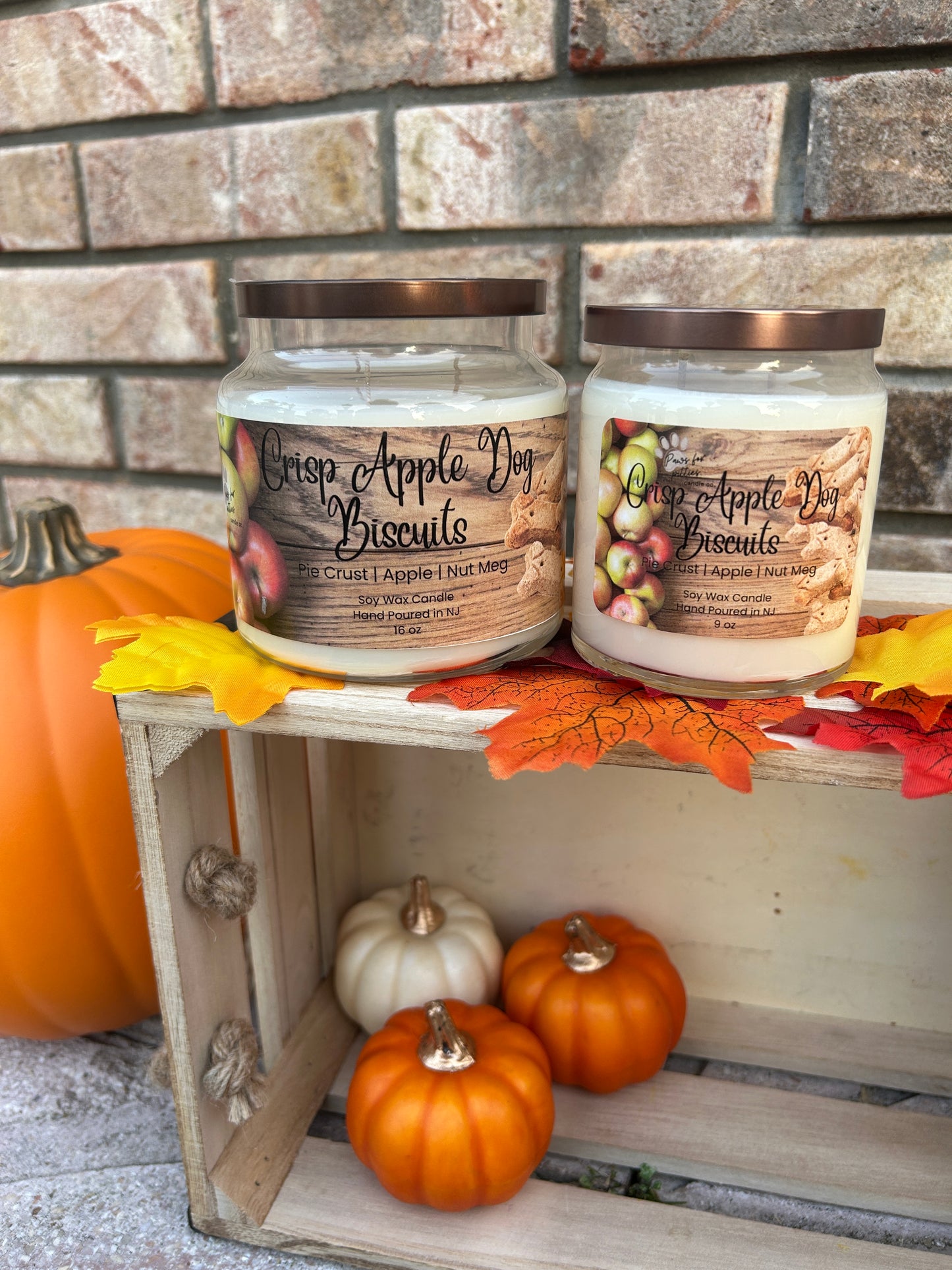 Crisp Apple Dog Biscuits 9oz Soy Wax Candle