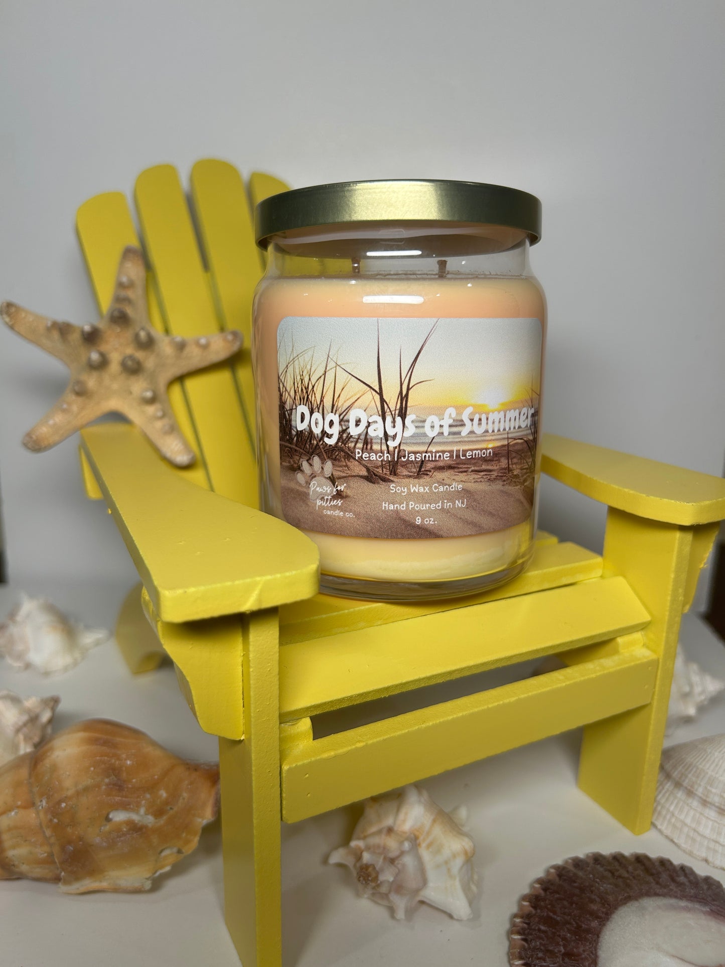 Dogs Days of Summer 9oz Soy Wax Candle