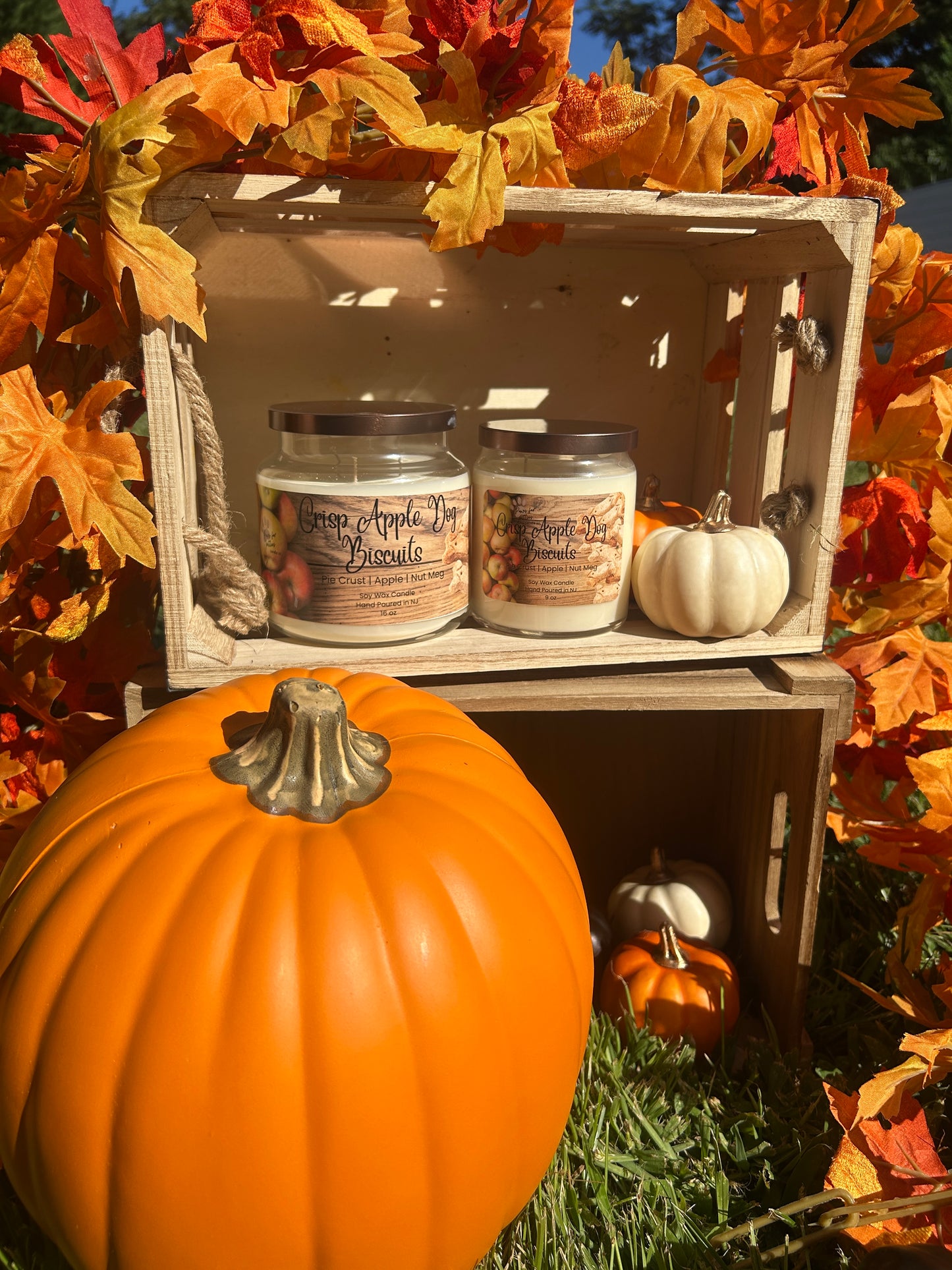 Crisp Apple Dog Biscuits 9oz Soy Wax Candle