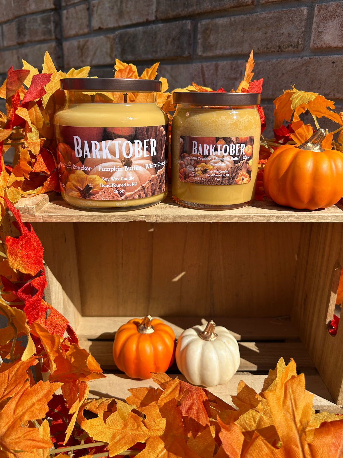 Barktober 16oz Soy Wax Candle