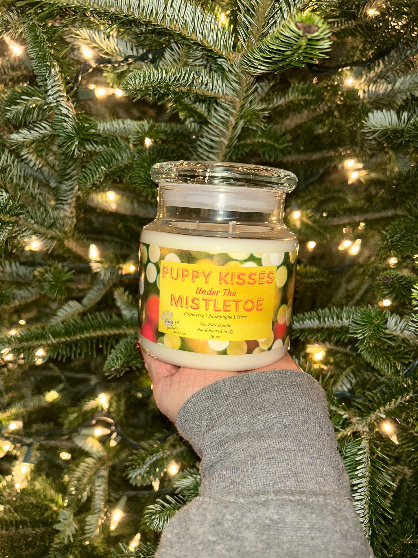 Puppy Kisses Under the Mistletoe 16oz Soy Wax Candle