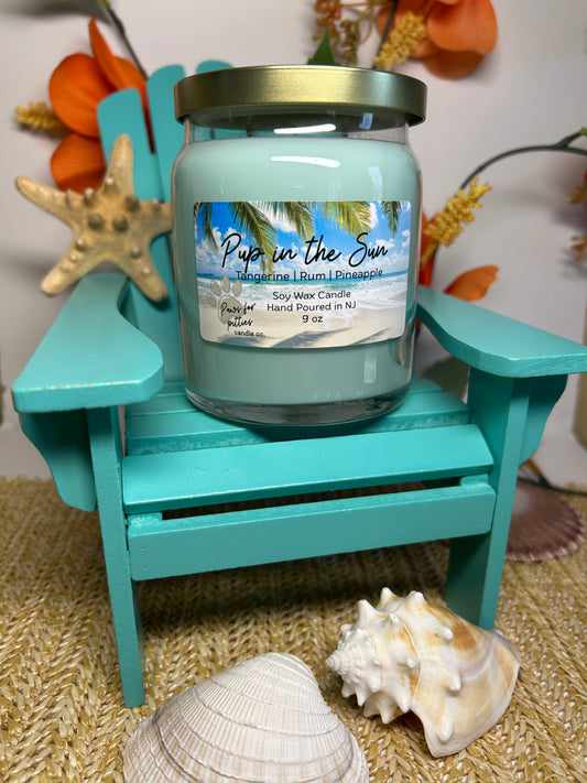 Pup in the Sun 9oz Soy Wax Candle