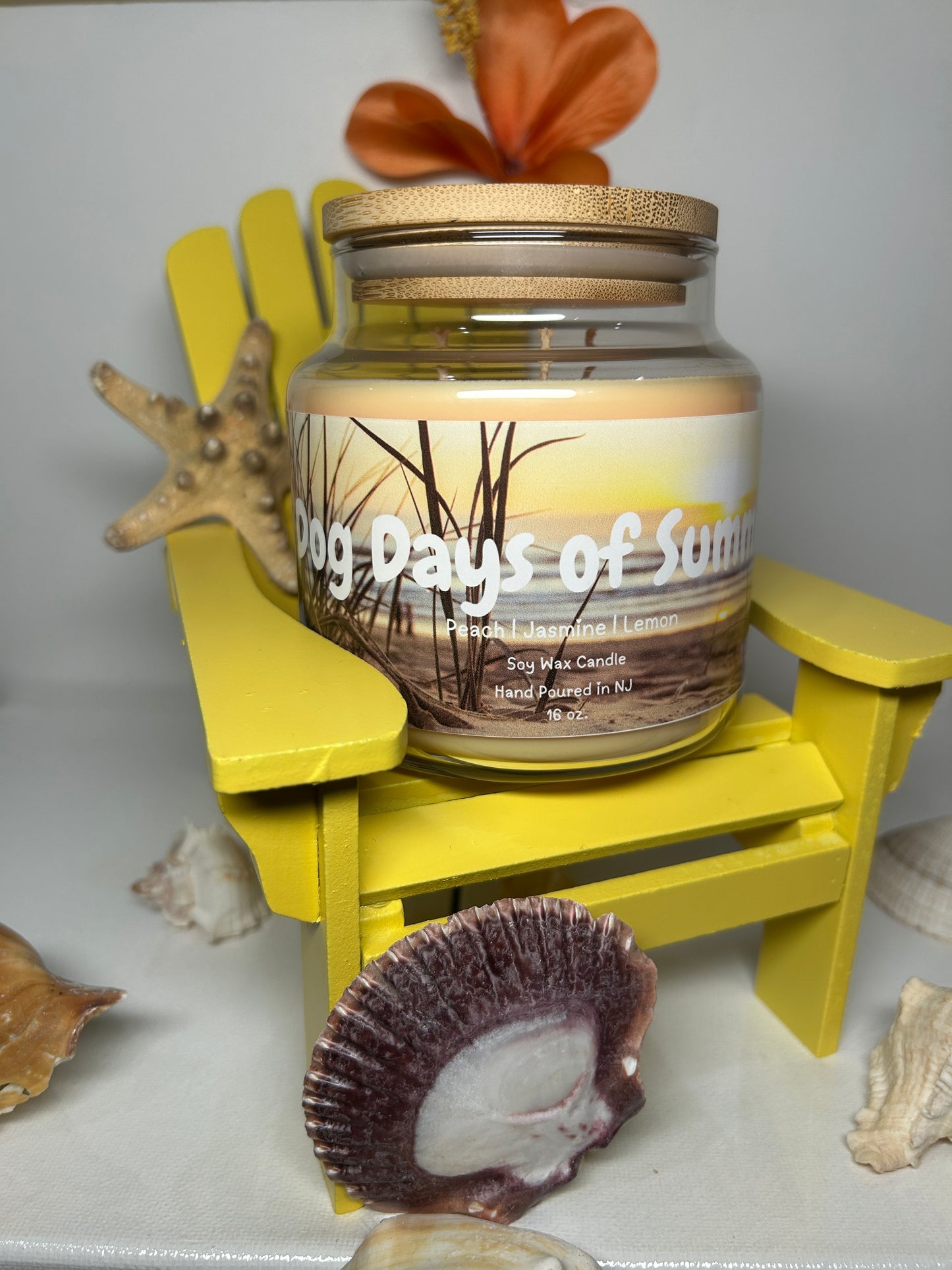 Dogs Days of Summer 16oz Soy Wax Candle