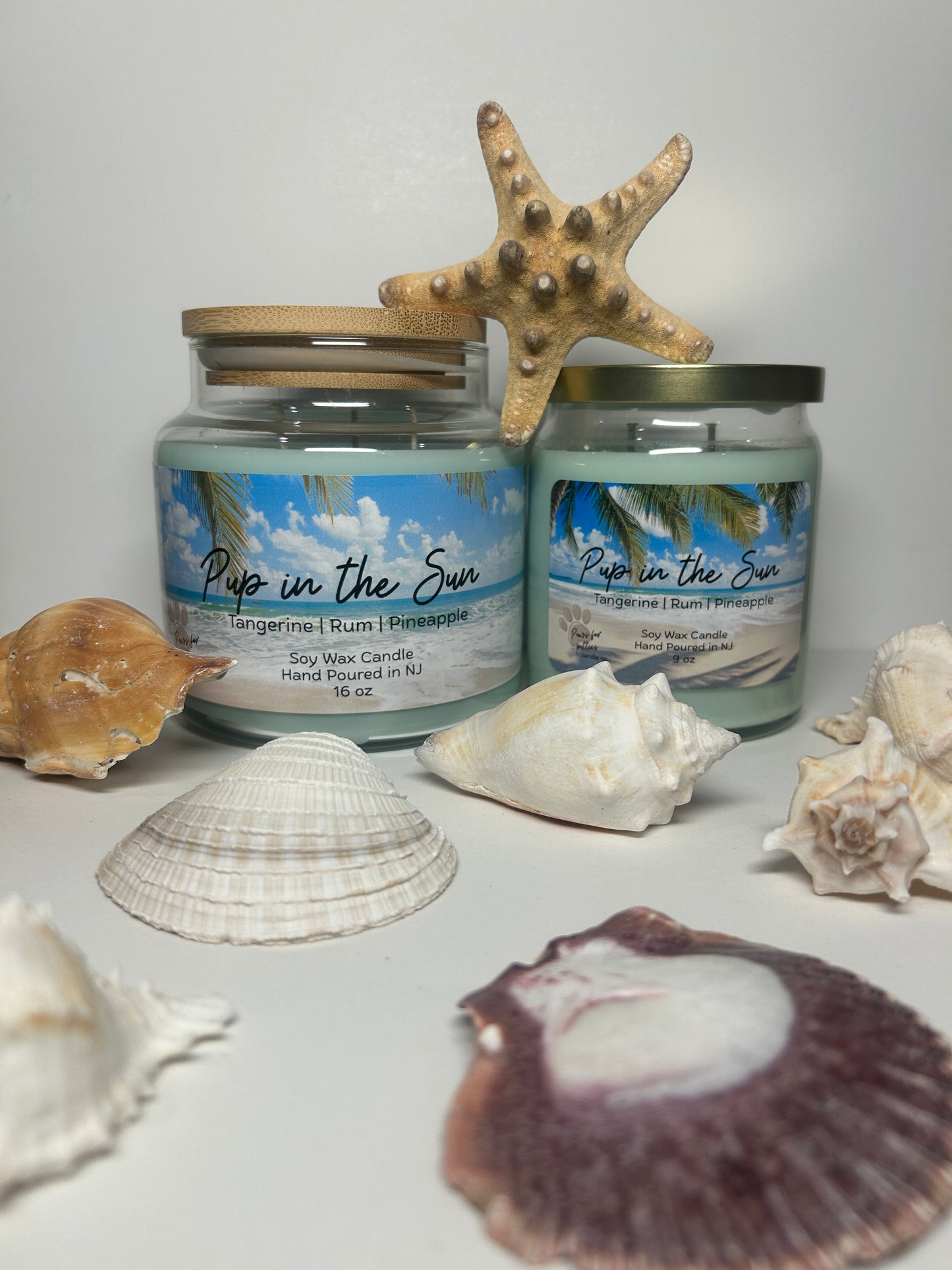 Pup in the Sun 9oz Soy Wax Candle