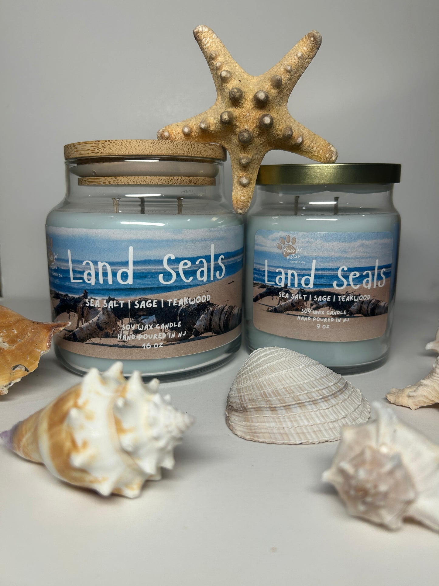 Land Seals 9oz Soy Wax Candle
