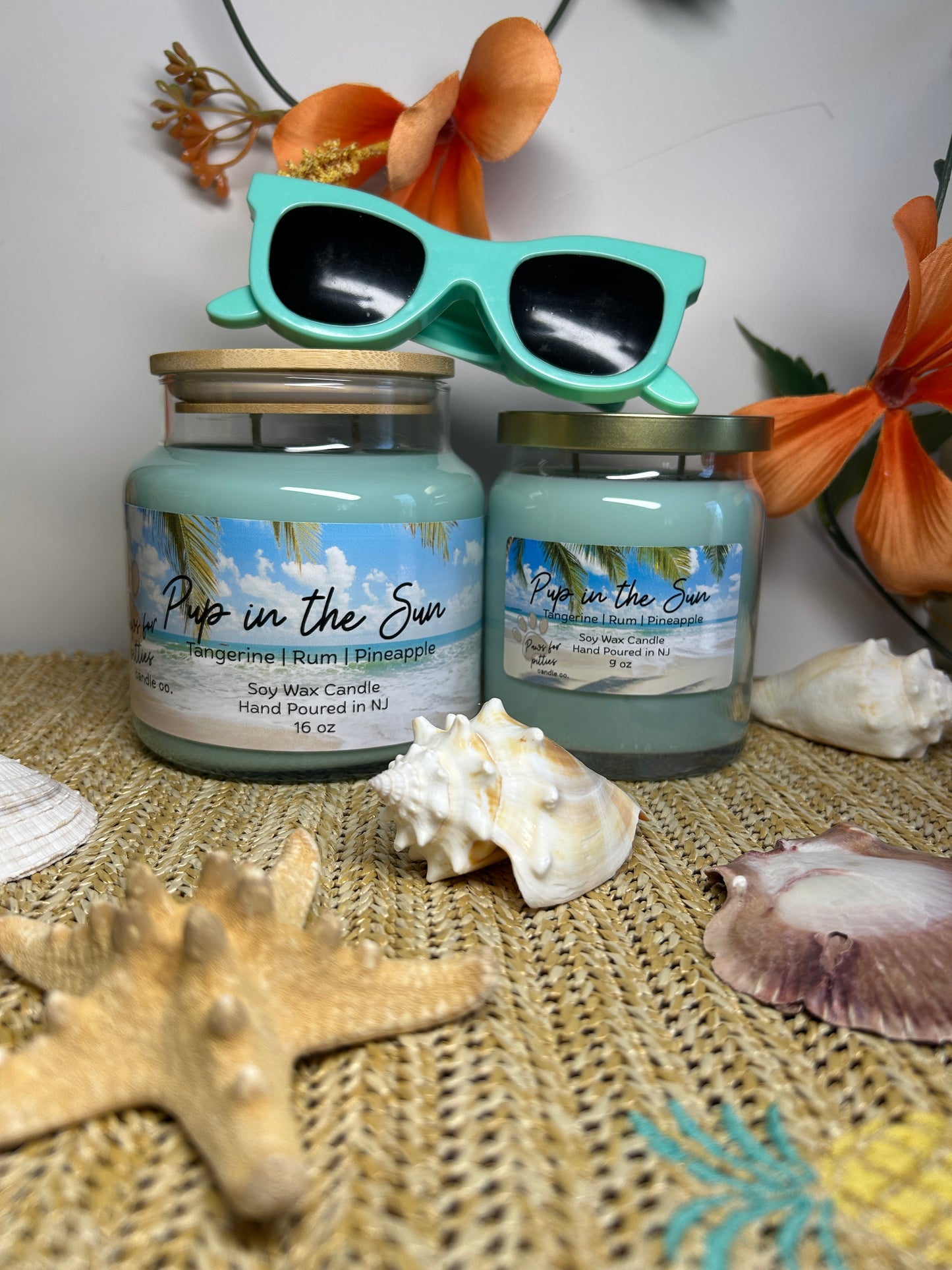 Pup in the Sun 16oz Soy Wax Candle