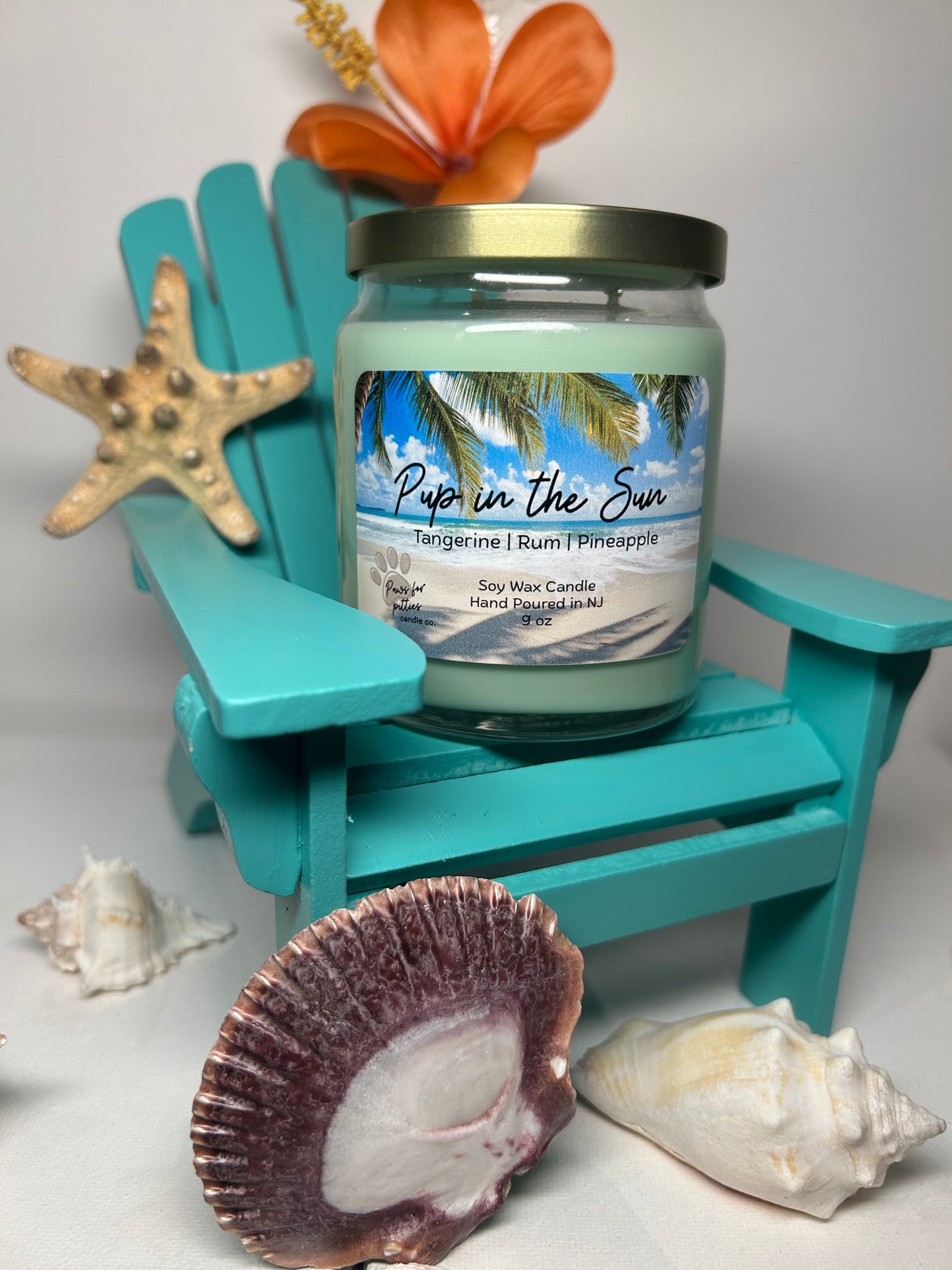 Pup in the Sun 9oz Soy Wax Candle