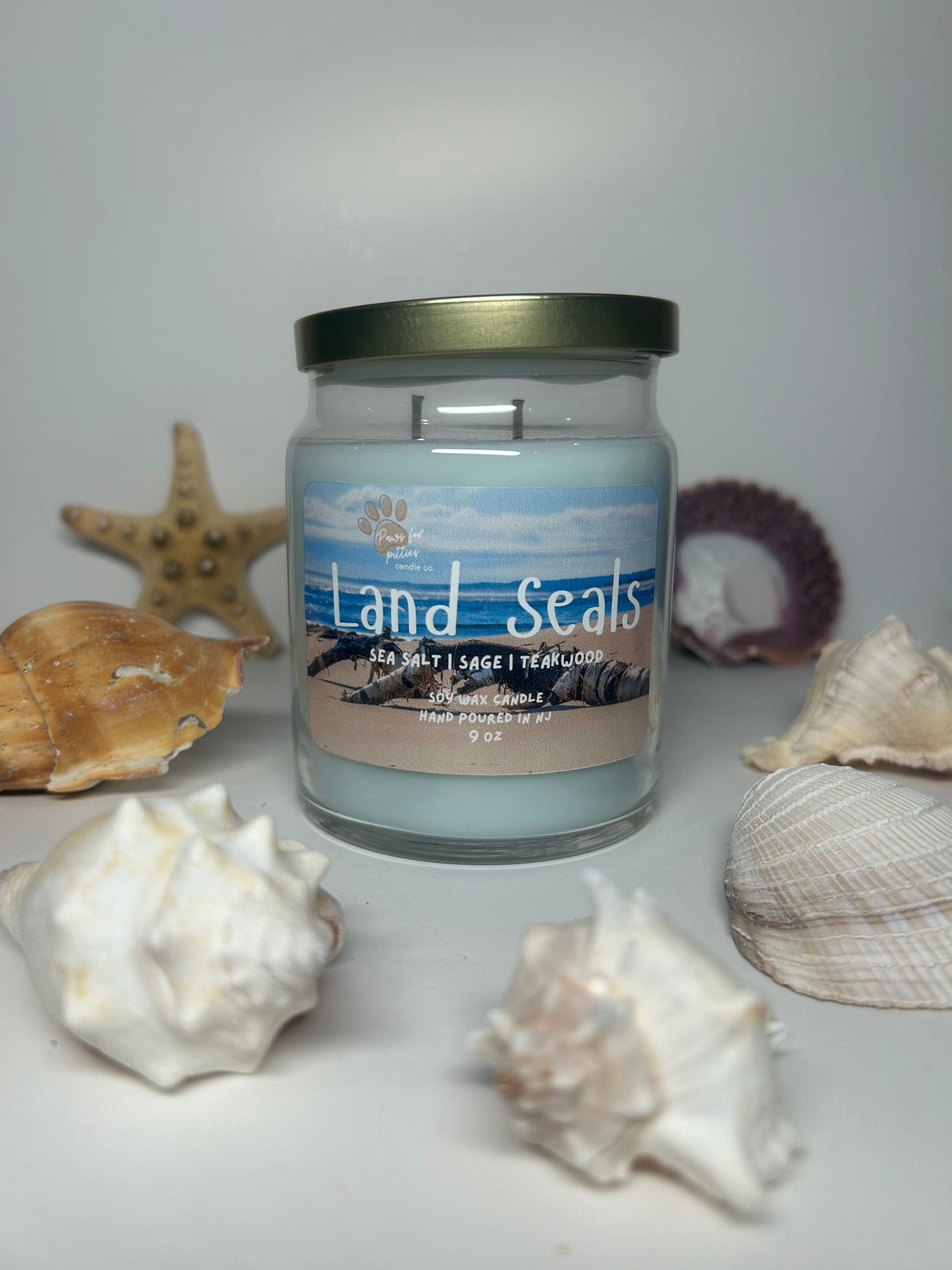 Land Seals 9oz Soy Wax Candle