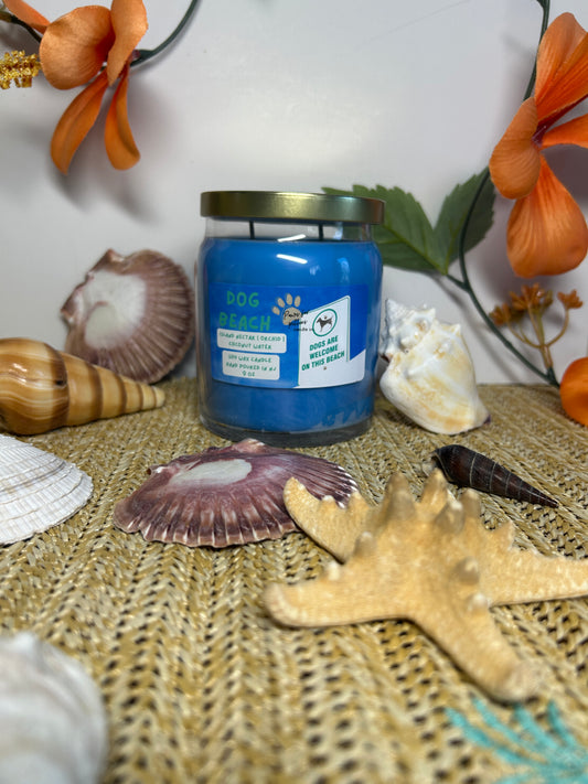 Dog Beach 9oz Soy Wax Candle