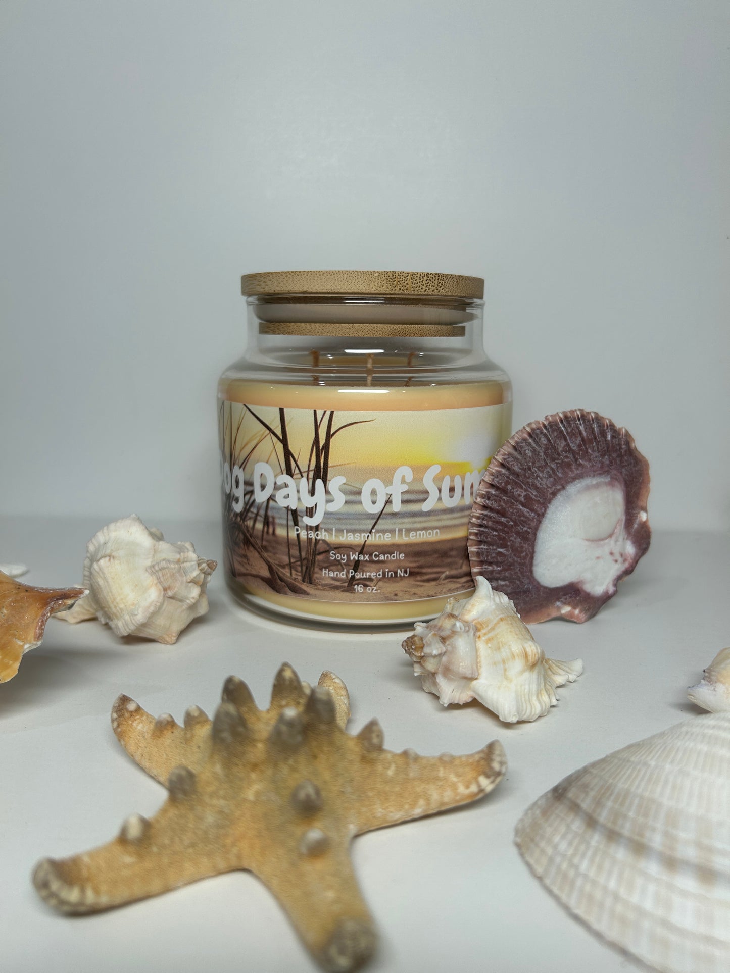 Dogs Days of Summer 16oz Soy Wax Candle
