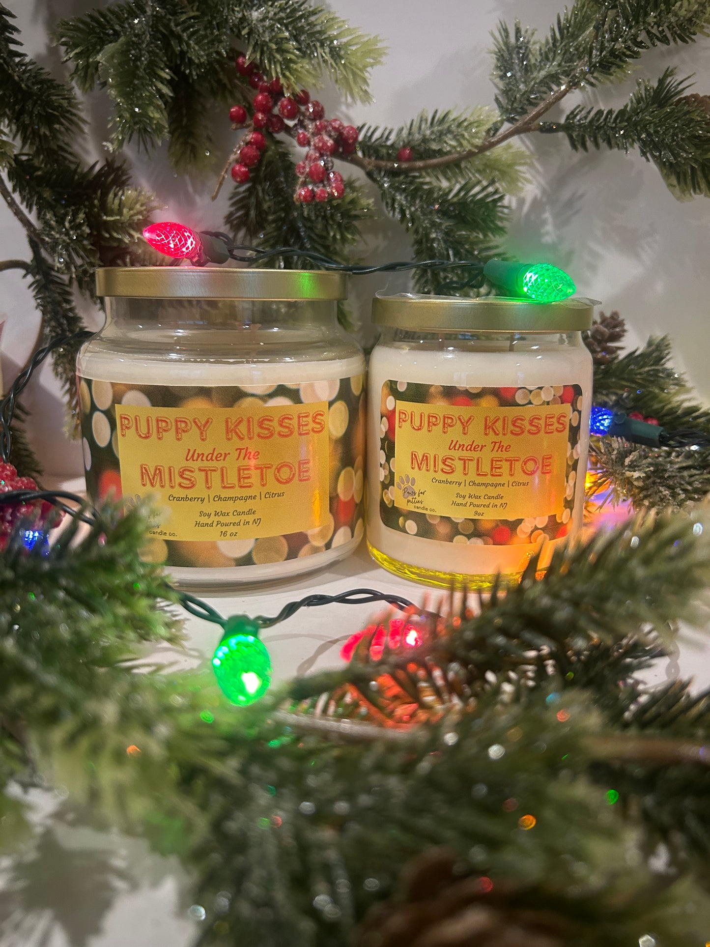 Puppy Kisses Under the Mistletoe 16oz Soy Wax Candle