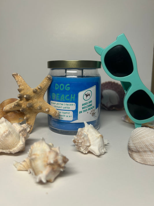 Dog Beach 9oz Soy Wax Candle