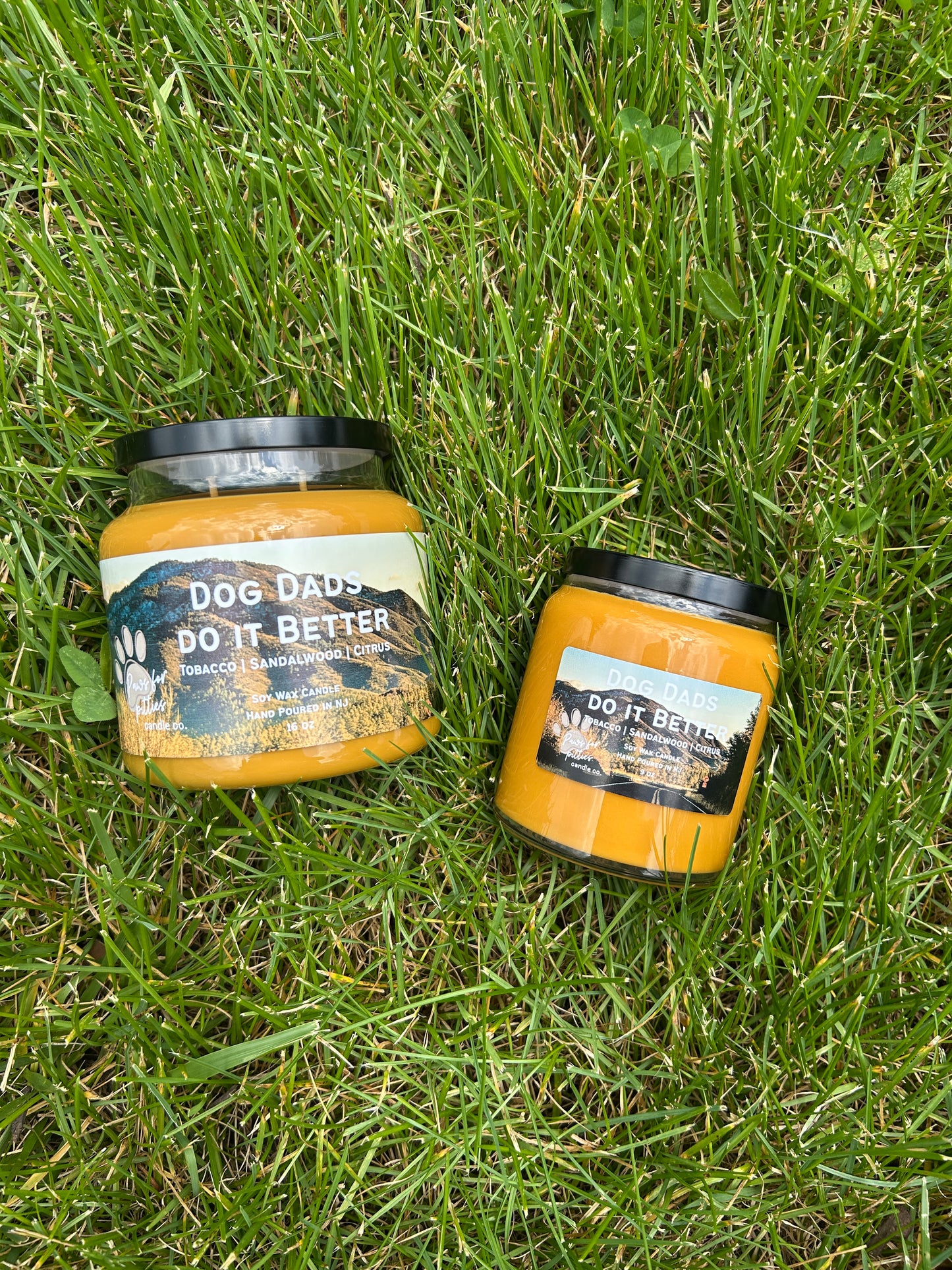 Dog Dads do it Better 9oz Soy Wax Candle