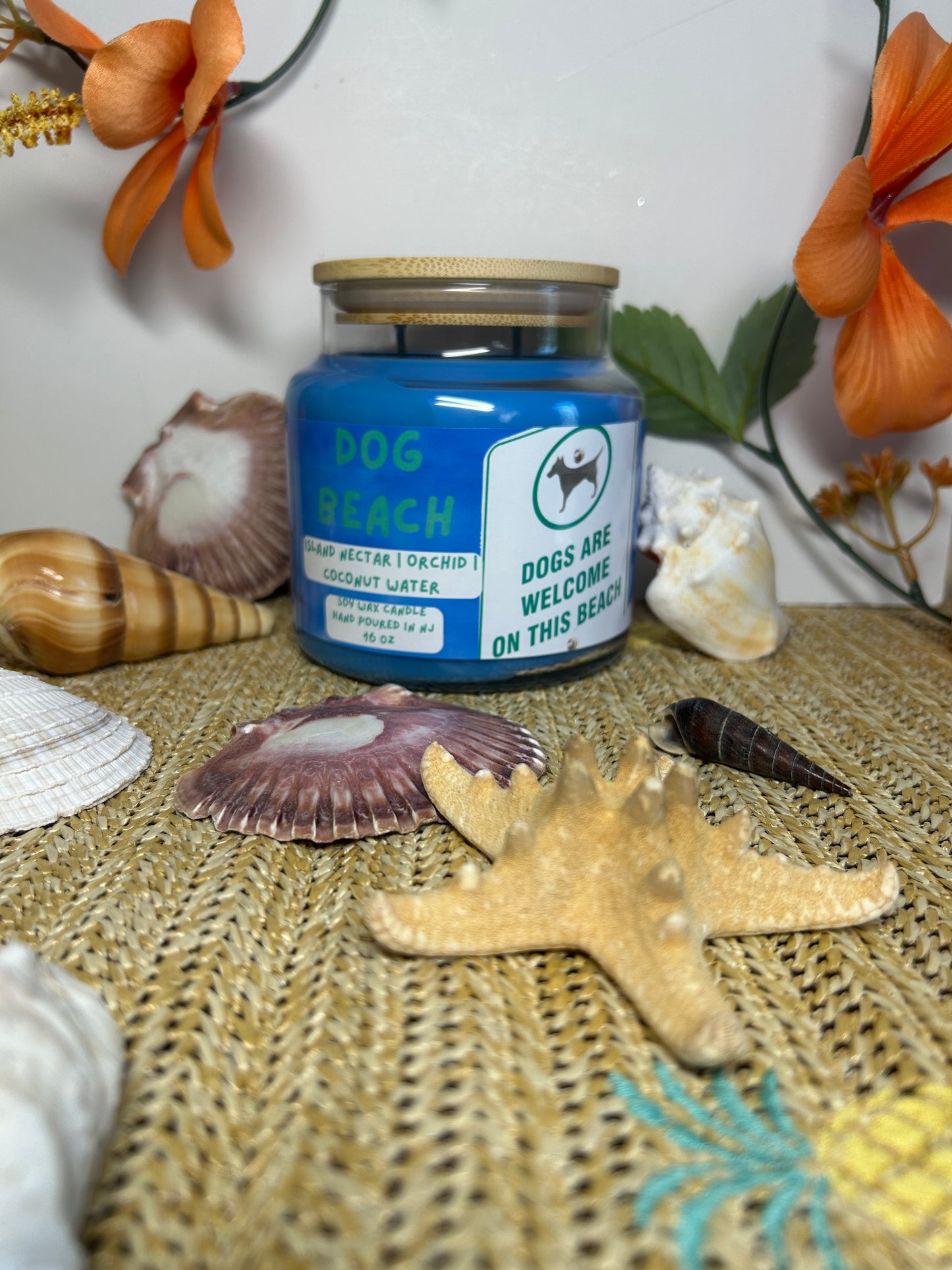Dog Beach 16oz Soy Wax Candle