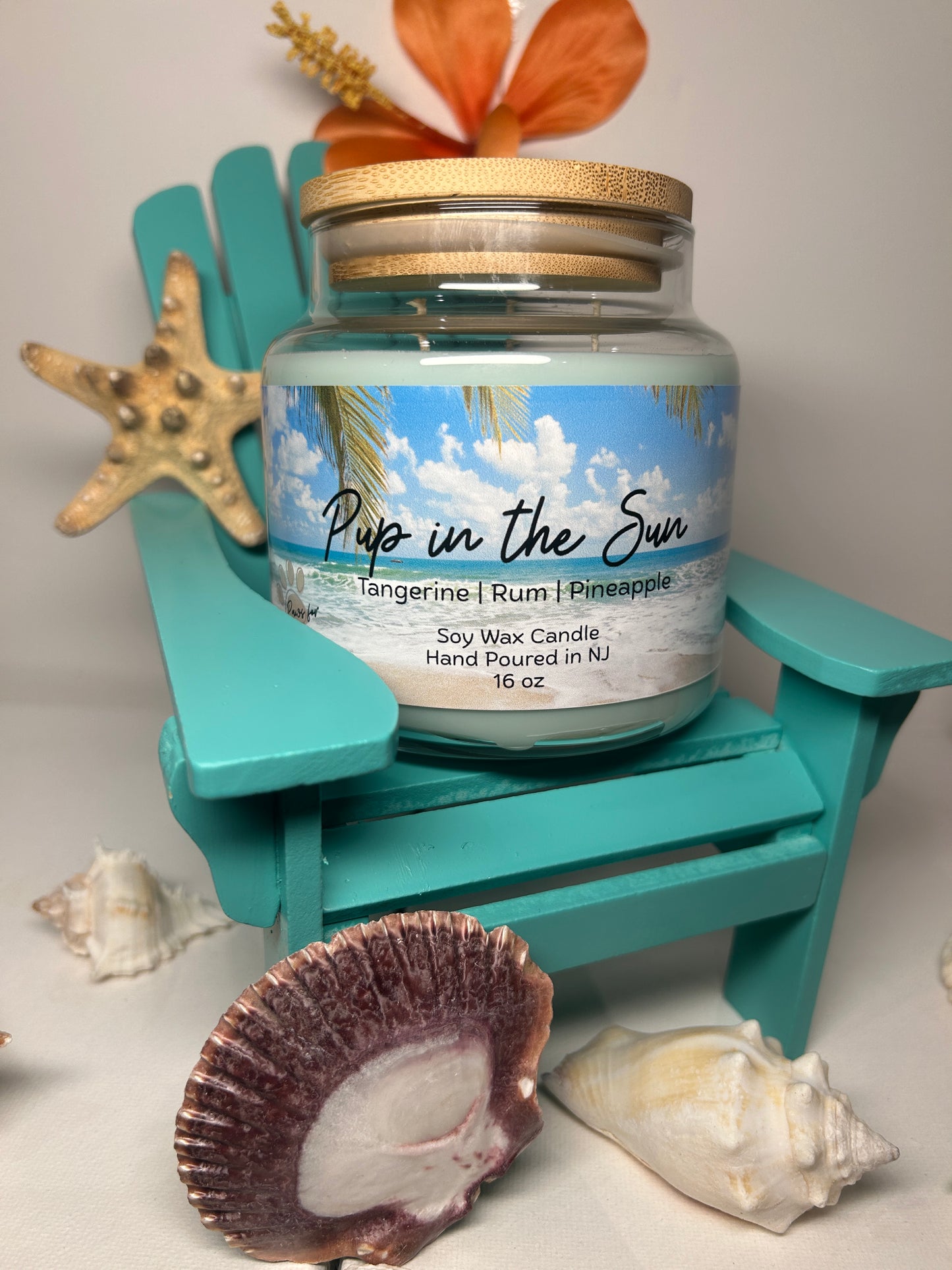 Pup in the Sun 16oz Soy Wax Candle