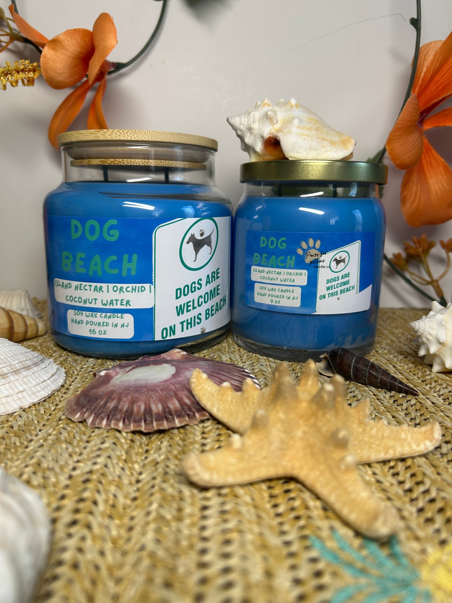 Dog Beach 16oz Soy Wax Candle
